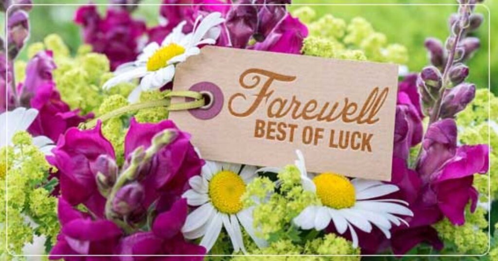 Funny Farewell Shayari For Seniors In Hindi