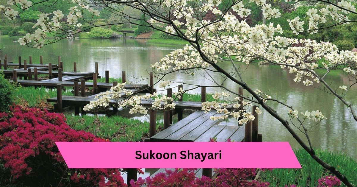 Sukoon Shayari